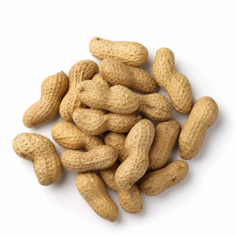 Peanuts - In-shell