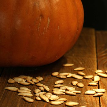 Seeds